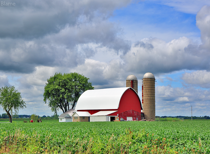 Rural Architecture