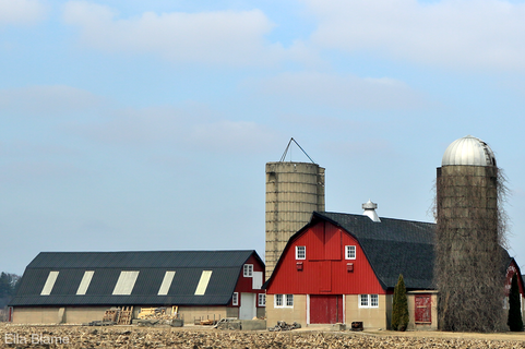 Wisconsin Winter Countryside with Farm Buildings