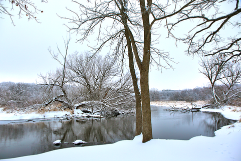 Winter Landscape with Creek in Wisconsin