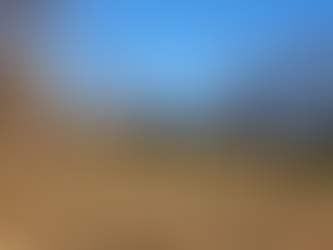 A Mild Day in February