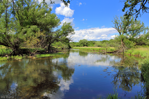 Wisconsin Landscape with Trees and Creek