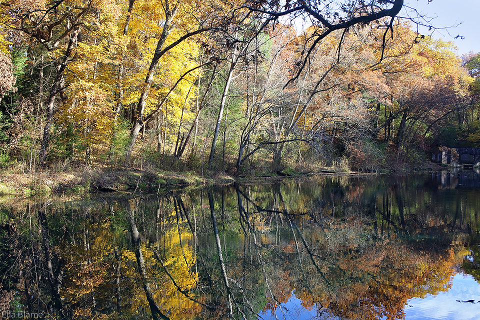 Wisconsin Nature Pond Reflections and Autumn Color Trees
