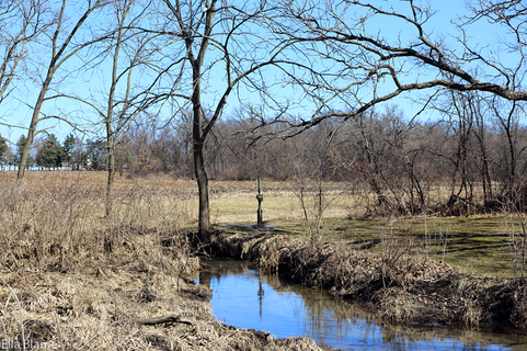 Wisconsin Park Landscape with Creek