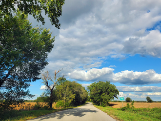 Early Fall