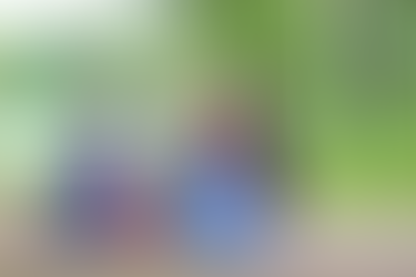 Bristol Renaissance Faire