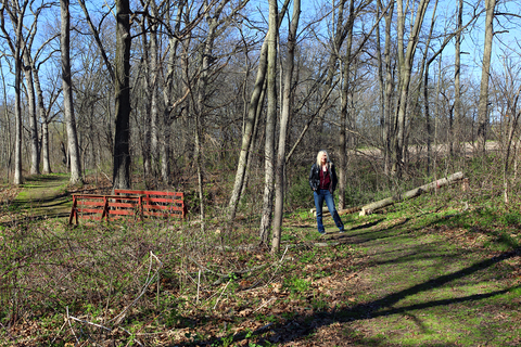 Wisconsin April Landscape Hiking Trail