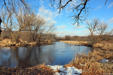 Wisconsin Nature Area with Creek in January