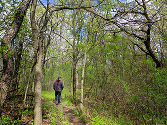 Hiking
