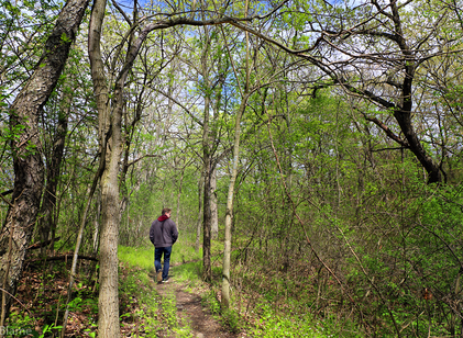 Hiking