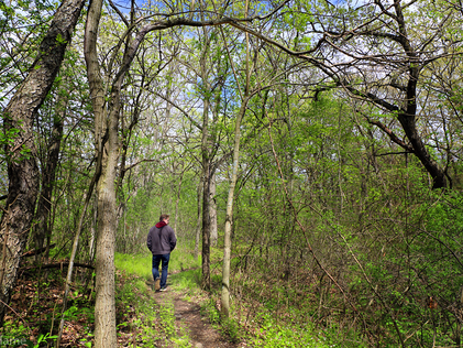 Hiking