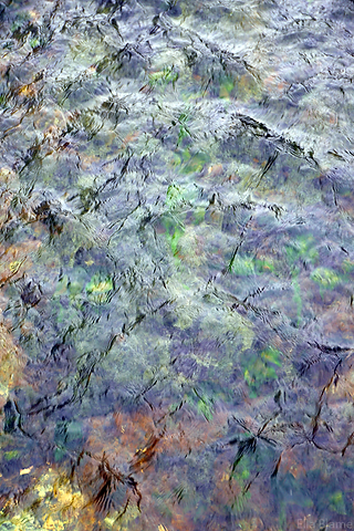 Wisconsin Nature Water Colors in May