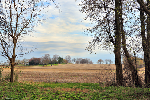 Wisconsin Countryside Landscape in April