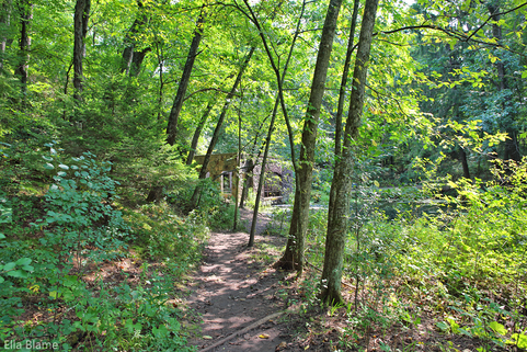 Wisconsin September Nature Spring House Trail