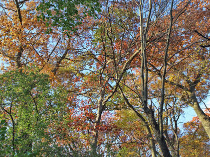 Last Day of October