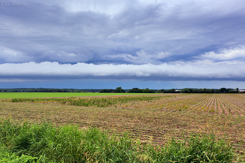 Wisconsin Landscape with Shelf Cloud and Fields