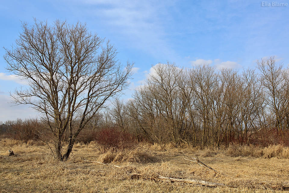 Wisconsin Landscape in March