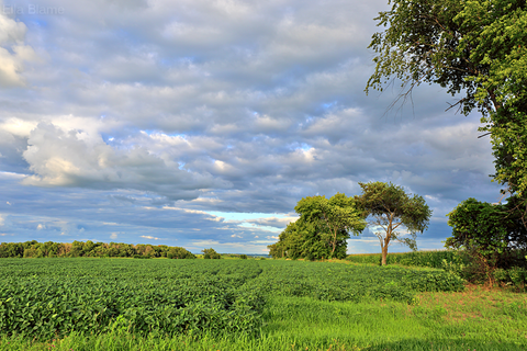 Wisconsin Countryside Landscape with Clouds in July