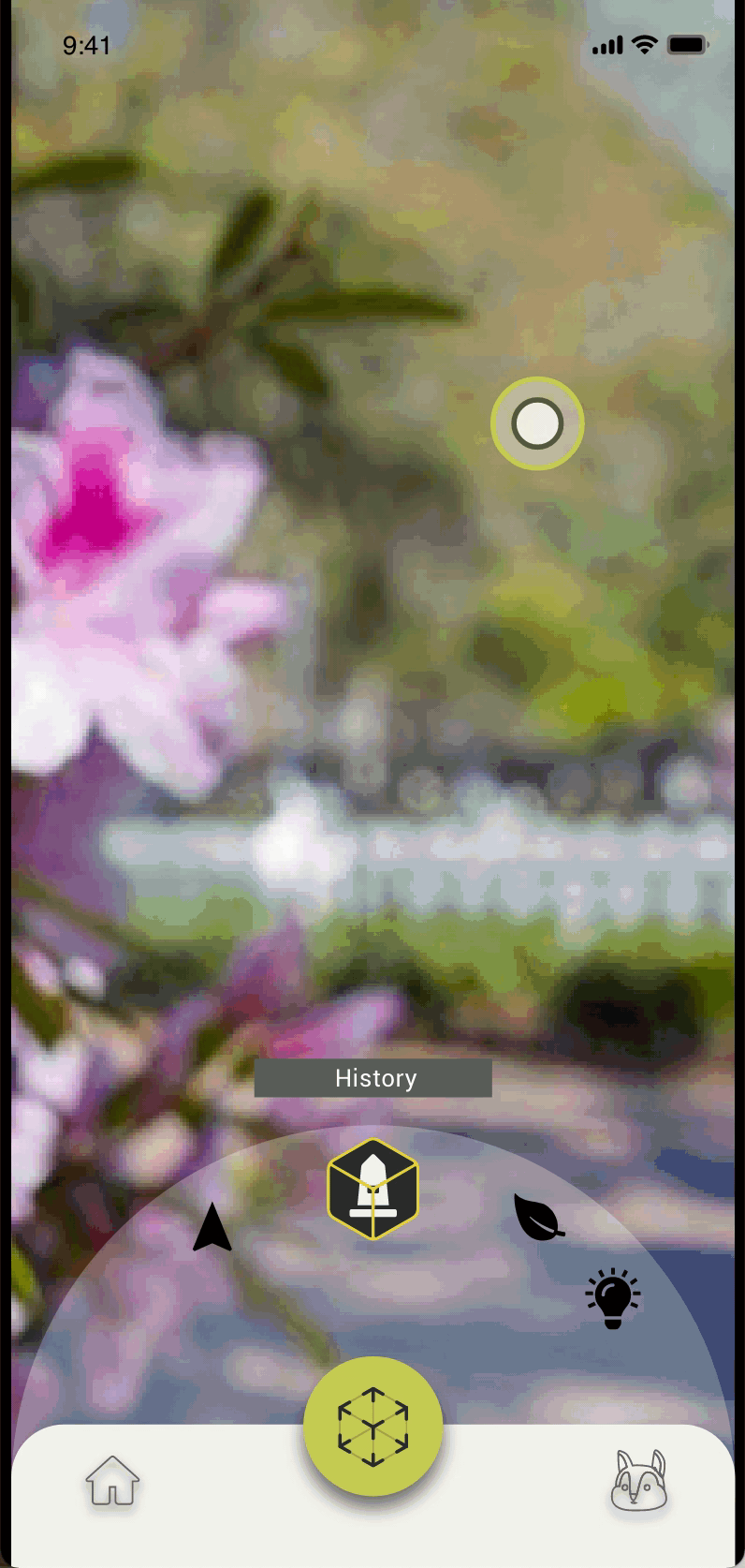 nature.gif