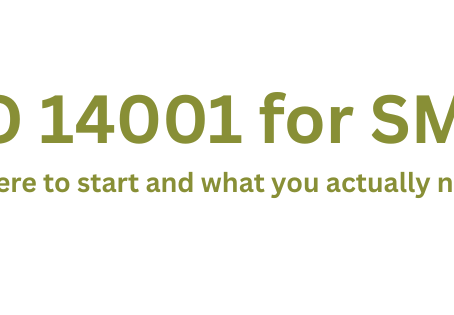 Your Essential Guide to ISO 14001 for SMEs