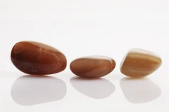 Red_Jasper_f4d3a217-4acf-44d7-be8a-6bfc9589bca5_medium.webp