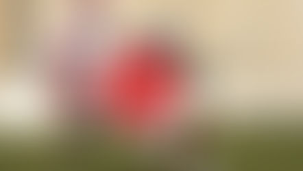 Revolutionizing Live Sports Streaming: Zerolatency.tv’s Journey with Ant Media Server