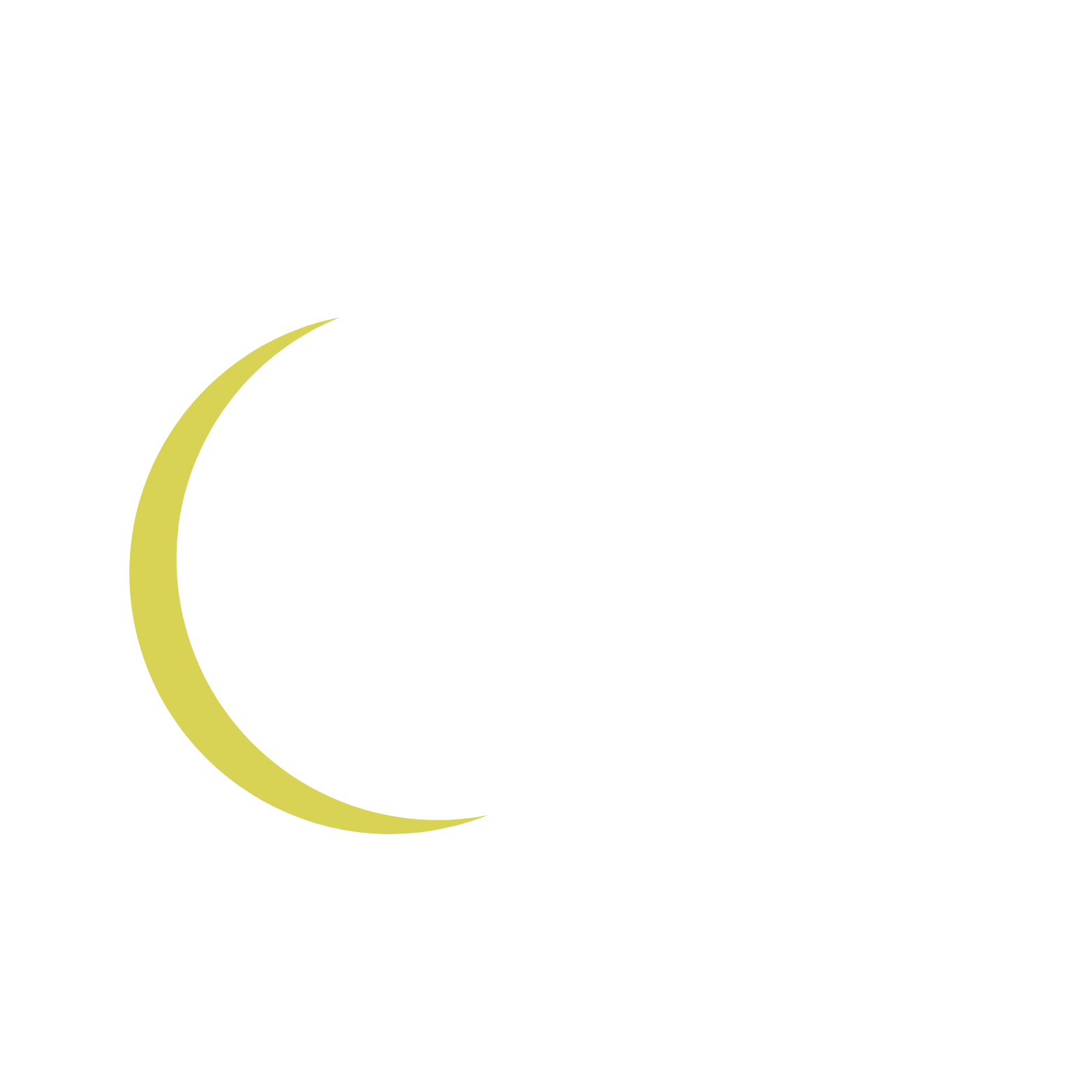 YnB logo (1).png