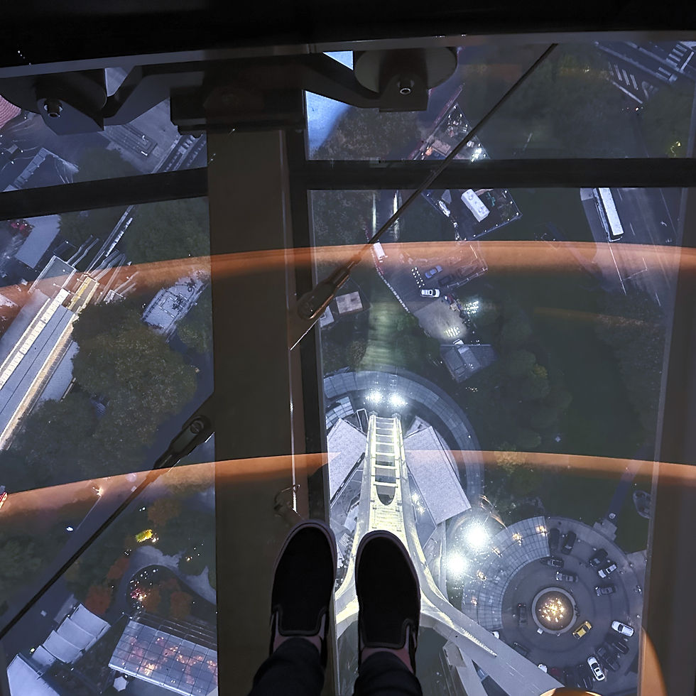 View looking down through the glass floor of the Space Needle, showcasing the ground far below in Seattle.