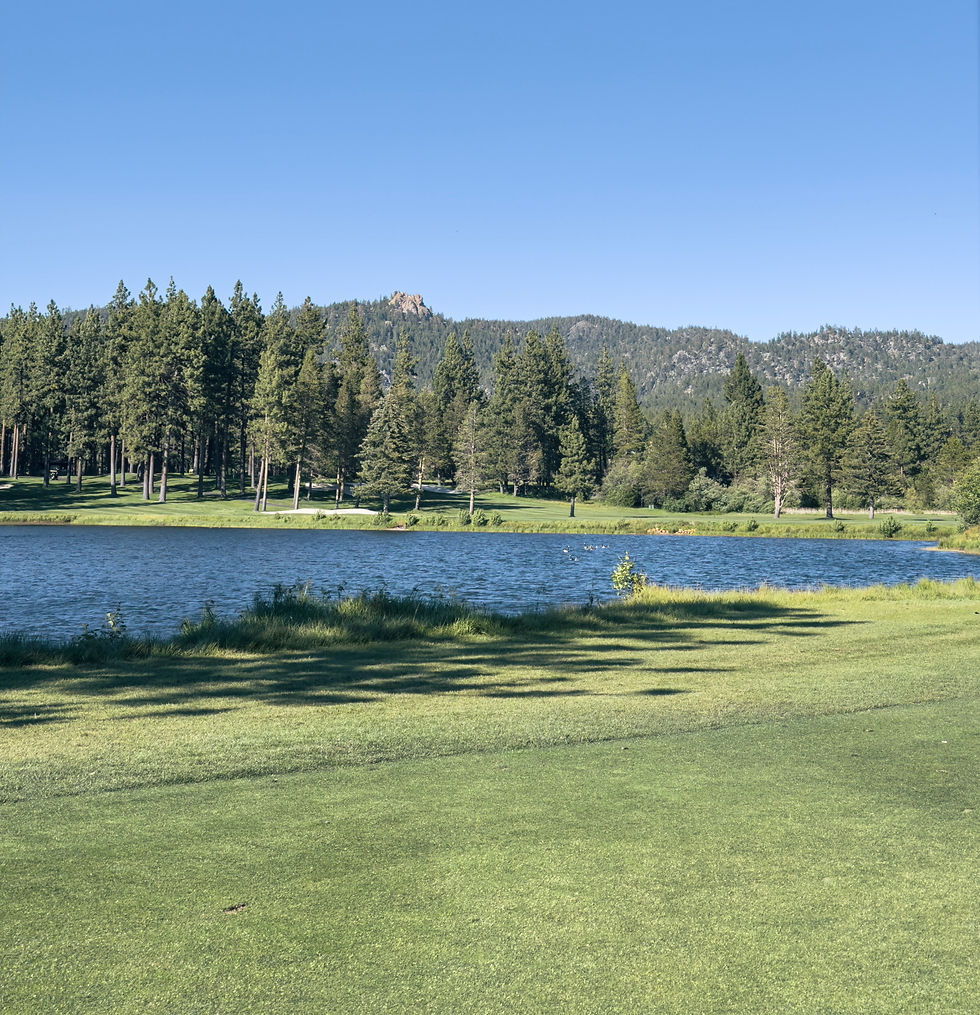 Pine tree-lined fairway at Edgewood Golf Course with majestic mountains in the background under a clear blue sky.