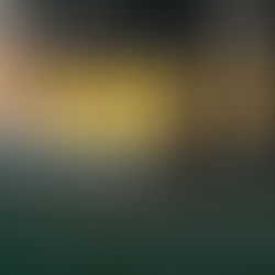 Edgewood Tahoe's iconic lakeside golf course where celebrities tee off—pristine fairways, dramatic mountain backdrops, and five-star vibes for a luxe golf day.