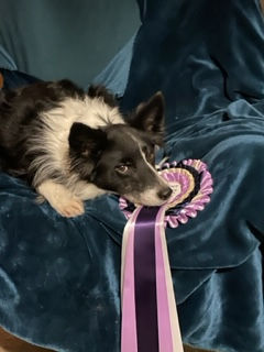 Ballyhanwood 20/01/24