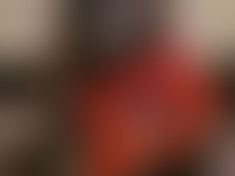 CLUB LEVEL TRIAL 18 Nov 23 Patch Dog Training, Comber