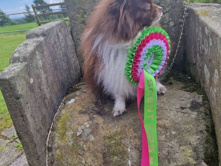 BARD, Dungannon 19th July 2025