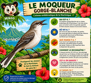 LE MOQUEUR.png