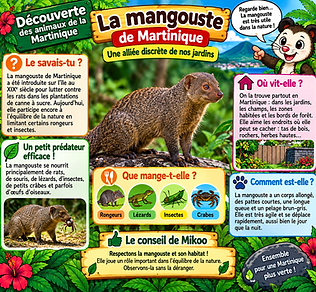 LA MAGOUSTE.png