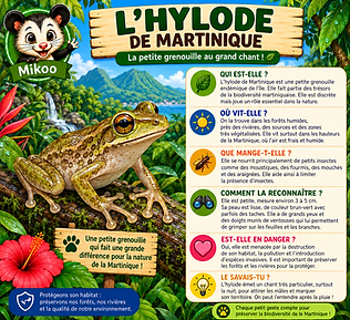 L HYLODE.png
