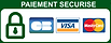 aa paiement.png