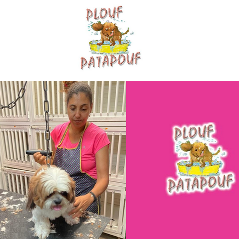 Miniature : 15% de remise  sur les toilettages avec votre chéquier chez Plouf patapouf