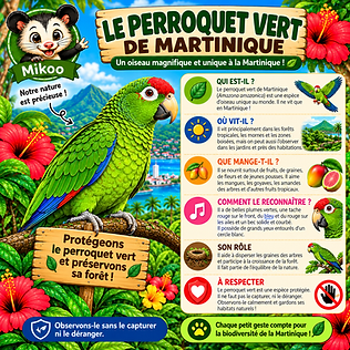 Le perroquet vert de Martinique.png