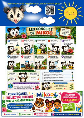MAGN°1 CONSEILS MIKOO P17.png