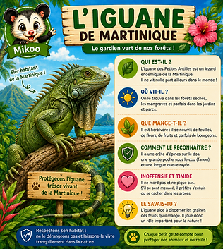 L IGUANE DE MARTINIQUE.png