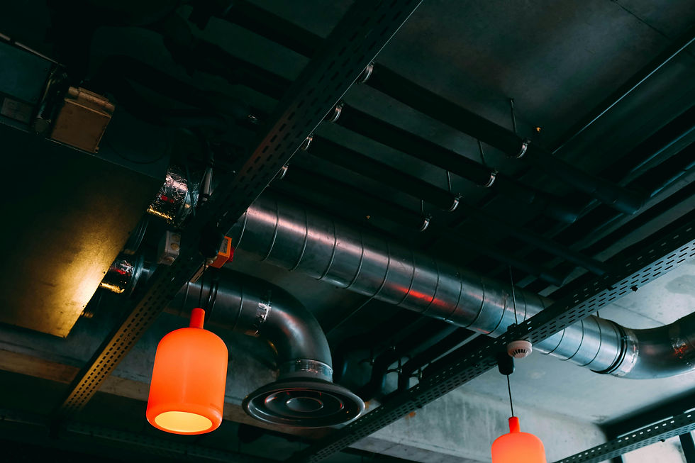 pexels-adrien-olichon-1257089-2464420.jpg