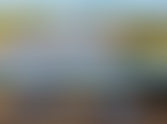 Reconstrucción del puente sobre el río Salado - Chaco