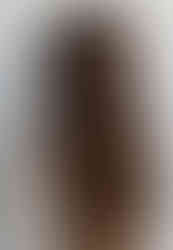 Bride with Braided half up half down Hairstyle