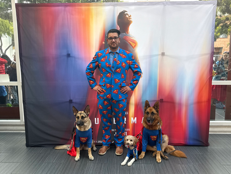 Superman Review
