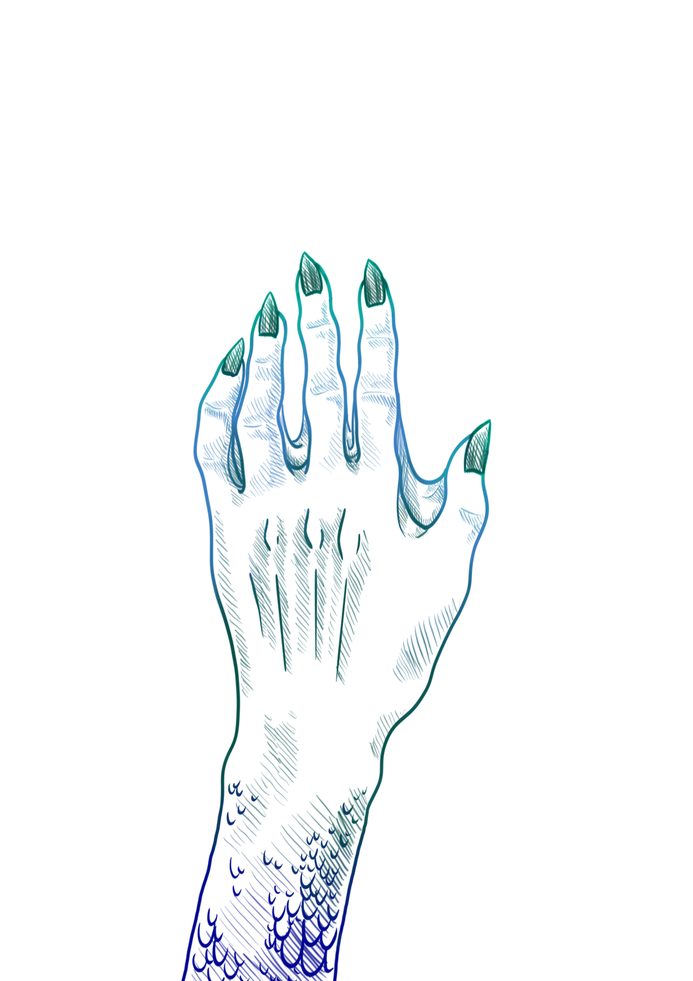 My Jolly Sailor Bold 