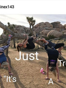 Joshua Tree the Protected Plant Species.