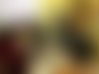 Заседание Президиума