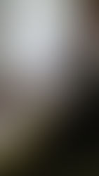 Выездное  заседание Совета ветеранов