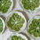 Thumbnail: Stunning Portuguese Bordallo Plates