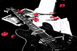 Fotógrafo Profesional Bodas Mallorca